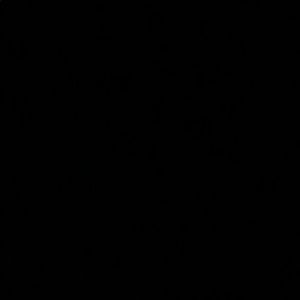 Meet your Posher, Zorawar